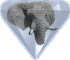 PostgreSQL